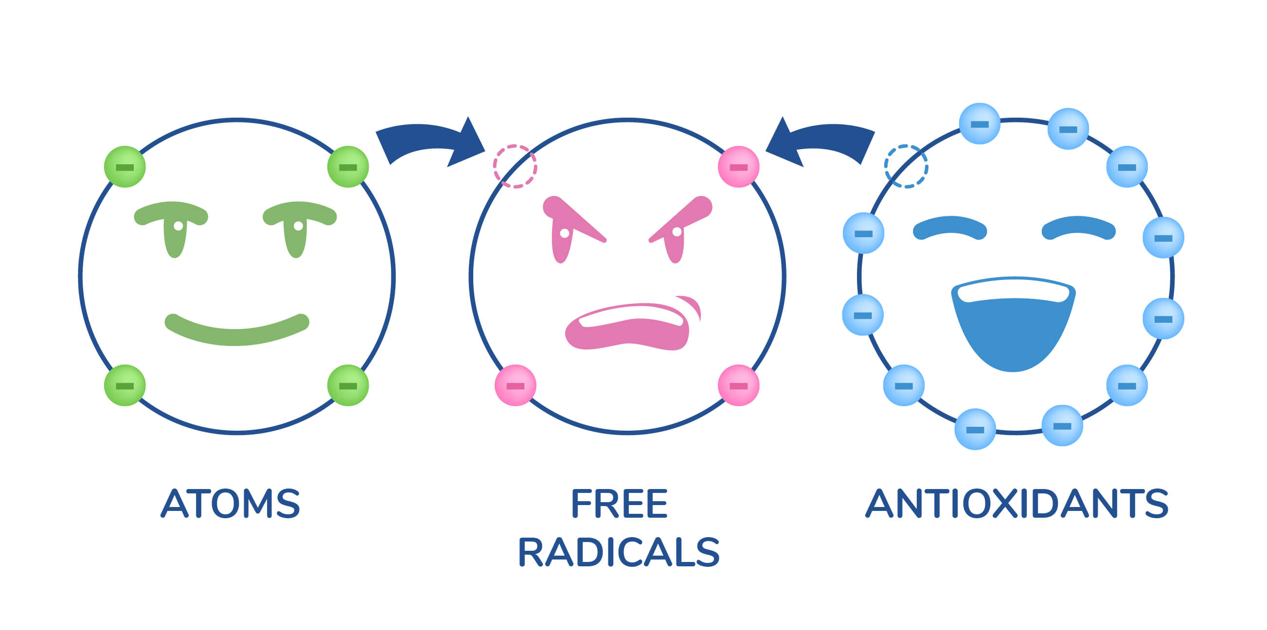 Chart Illustrating Atoms, Free Radicals, Antioxidants